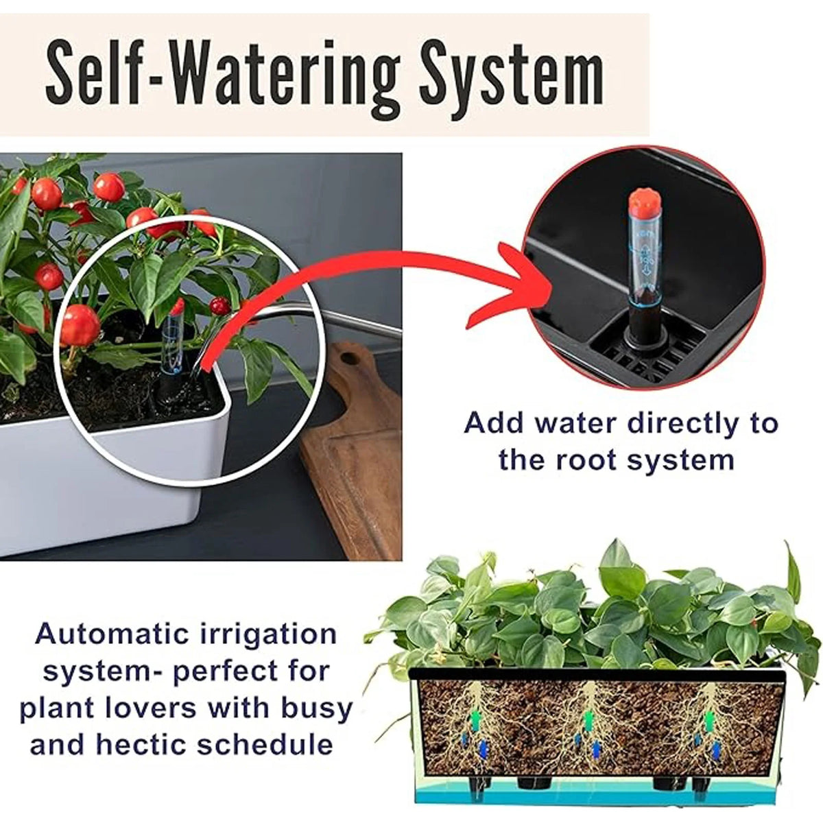 jardinière moderne arrosage intégré indicateur eau poignées aération racines amovible blanc noir