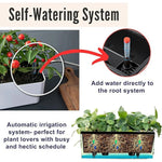 jardinière moderne arrosage intégré indicateur eau poignées aération racines amovible blanc noir