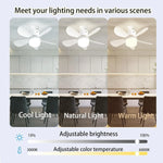ventilateur lampe intégrée noir blanc moderne minimaliste télécommande inclusion lumière pales abs