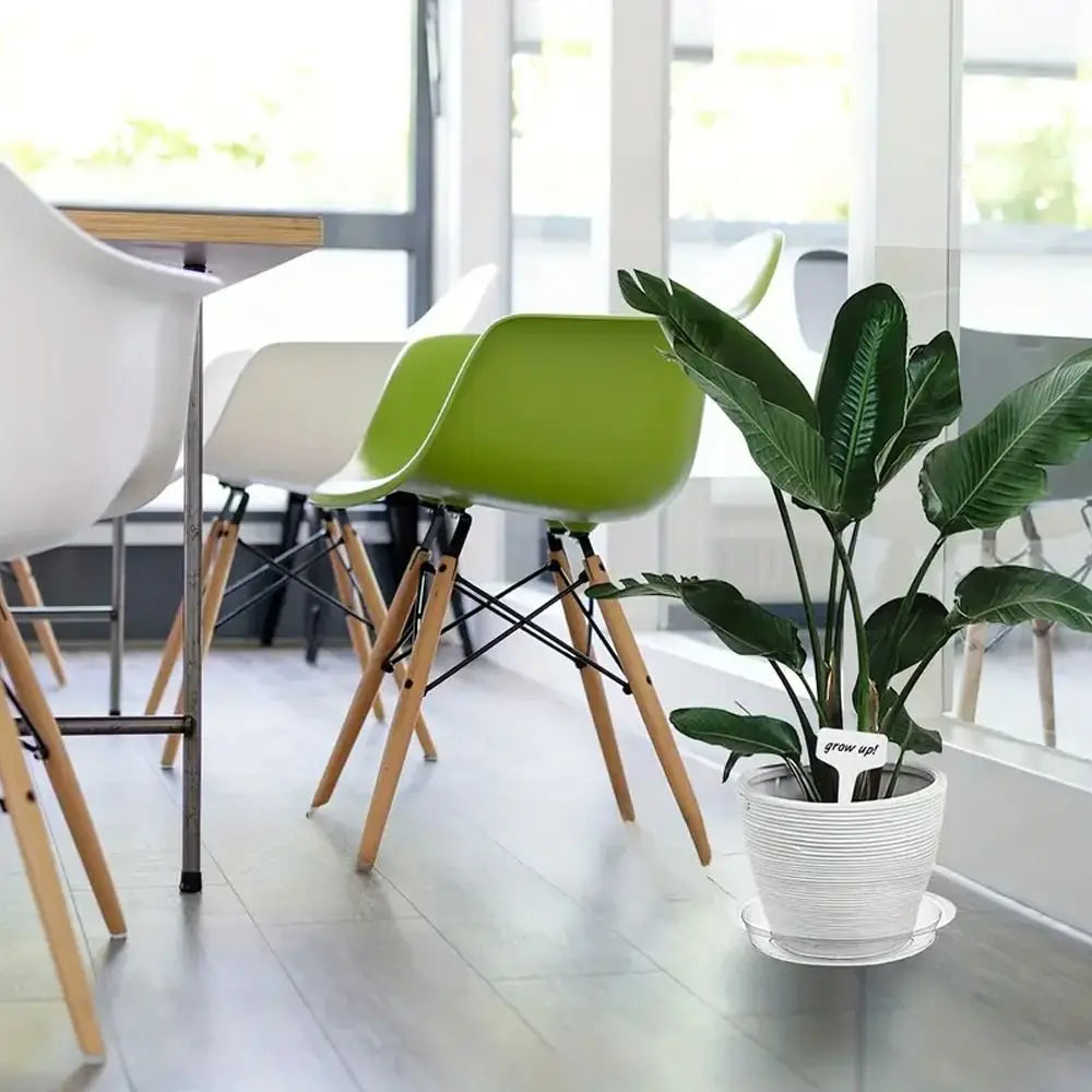 plateau plante transparent moderne 10 12 pouces adhésif concentrique rayures