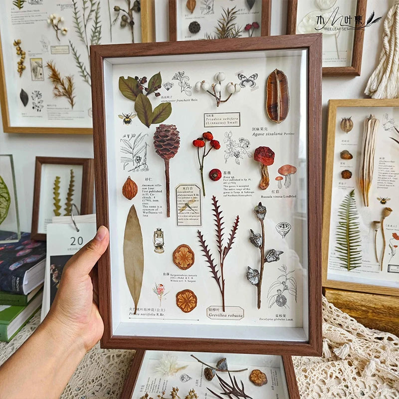 cadre photo profond coquillages fleurs séchées bois clair foncé décoration murale naturelle vintage A4