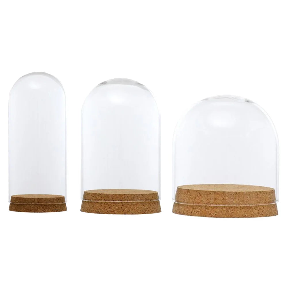 cloches verre liège décoration table transparent moderne fleurs séchées succulentes 18cm 8cm