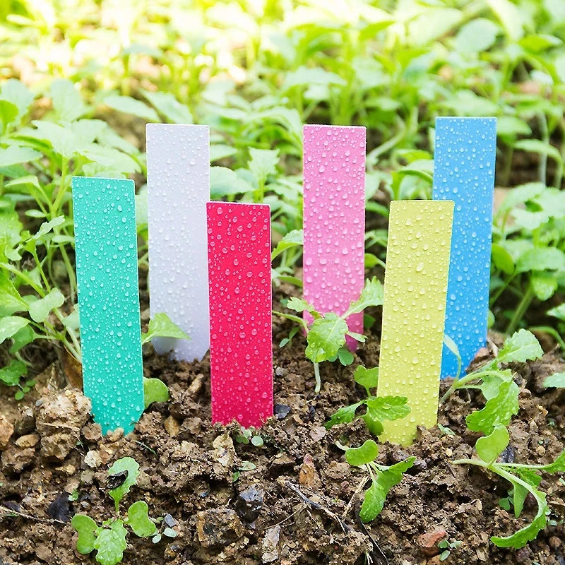 étiquettes jardinage adhésives réutilisables waterproof couleurs aléatoires moderne vert blanc jaune bleu rose violet