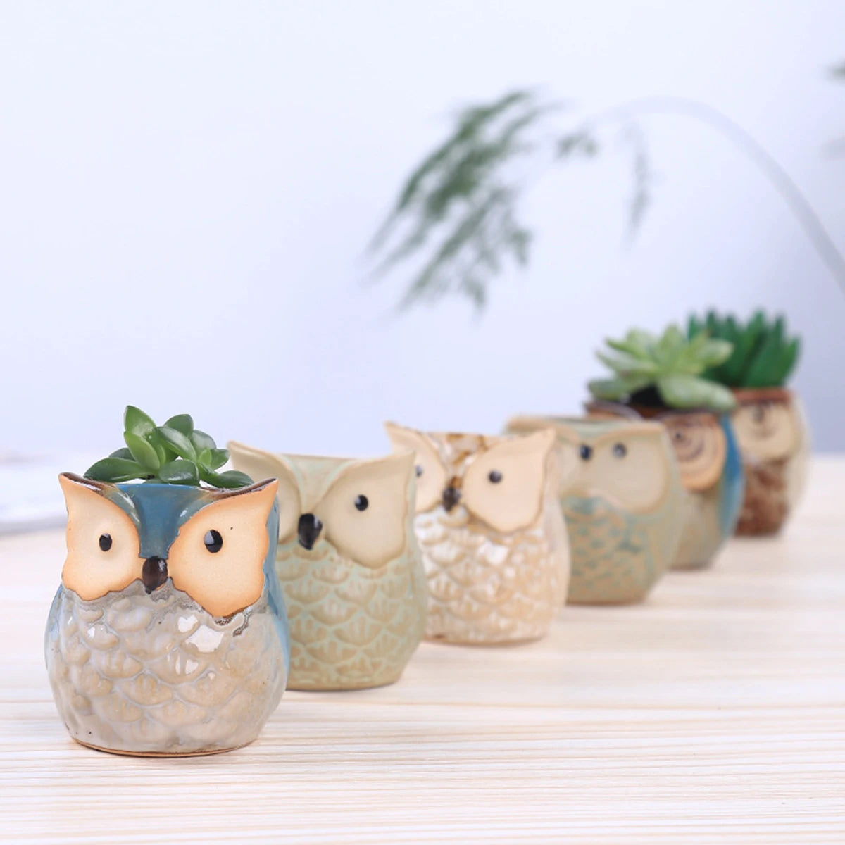 Cache-pot céramique hibou mignon vert pour succulentes sur bureau