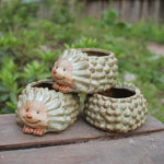 pots fleurs céramique hérisson épinules vert clair marron succulentes décoration jardin champêtre animalier