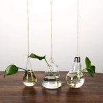 vases suspendus verre transparent modernes minimalistes cordelière plantes vertesextérieurintérieur