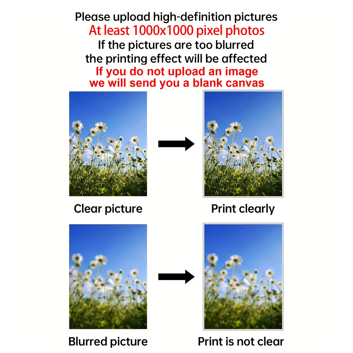 posters personnalisables haute qualité blanc rouge noir moderne cadre doré bouquets livres tapis canapé