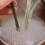 Support fleurs transparent moderne piquets rangés stockage imperméable plastique multiple usage