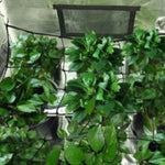 filet protection plantes noir maille régulière clips jardin élastique polyester pratique crochets support plantes