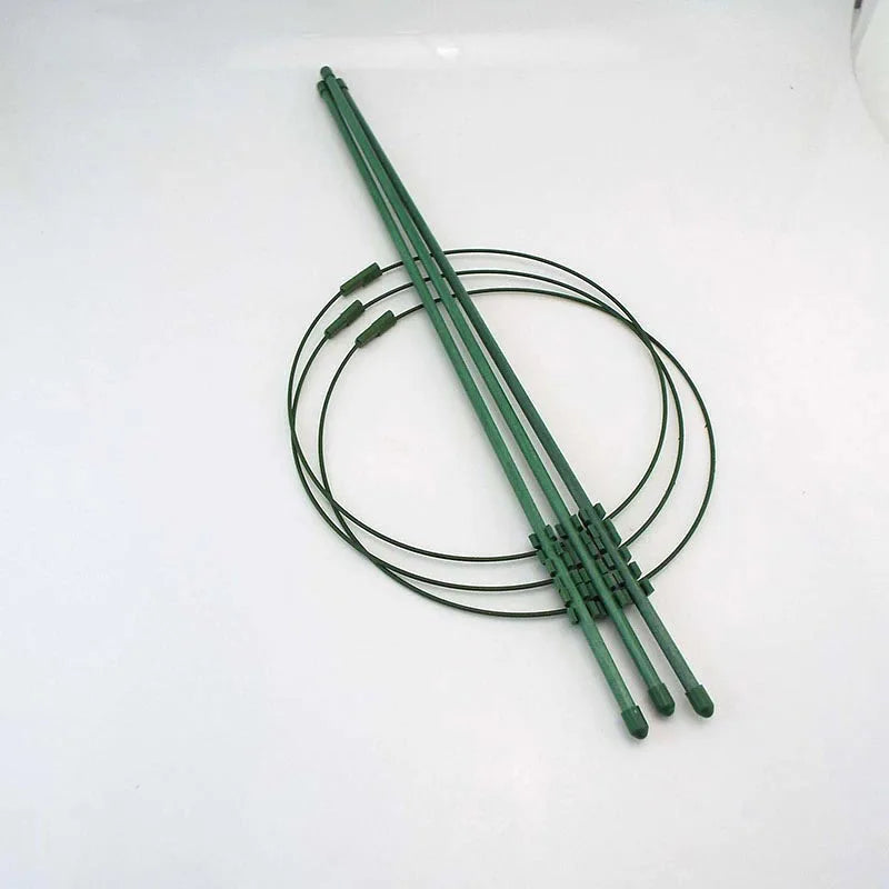 Support de vigne en acier revêtu avec plantes