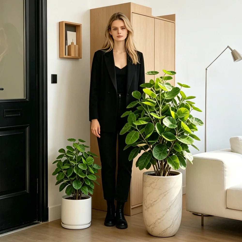 plantes artificielles ficus vertes intérieur decoration arbre feuilles eucalyptus tropical maison living room