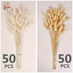plumes séchées naturelles queue lapin décoration maison fêtes anniversaires mariage bohème rustic beige clair