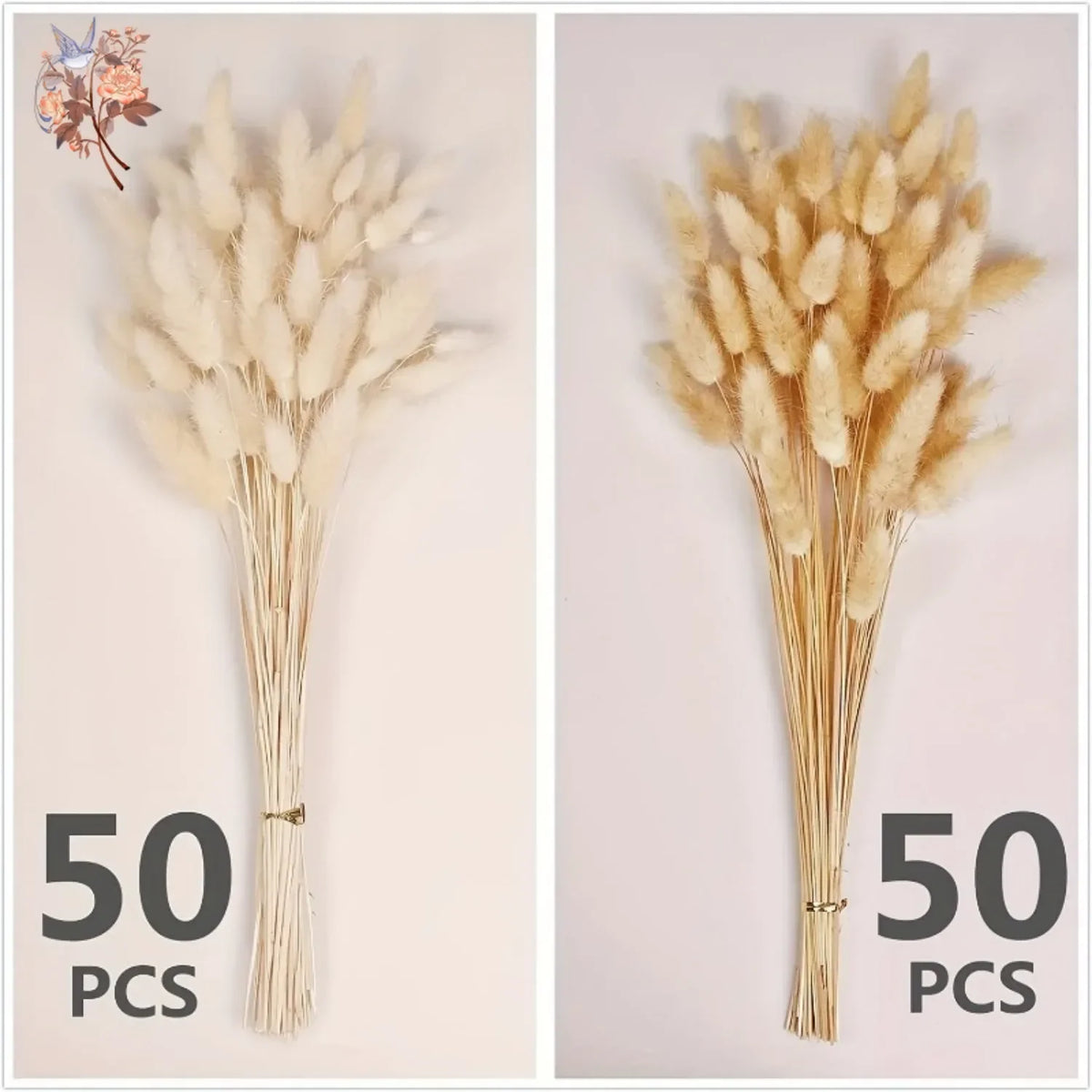 plumes séchées naturelles queue lapin décoration maison fêtes anniversaires mariage bohème rustic beige clair