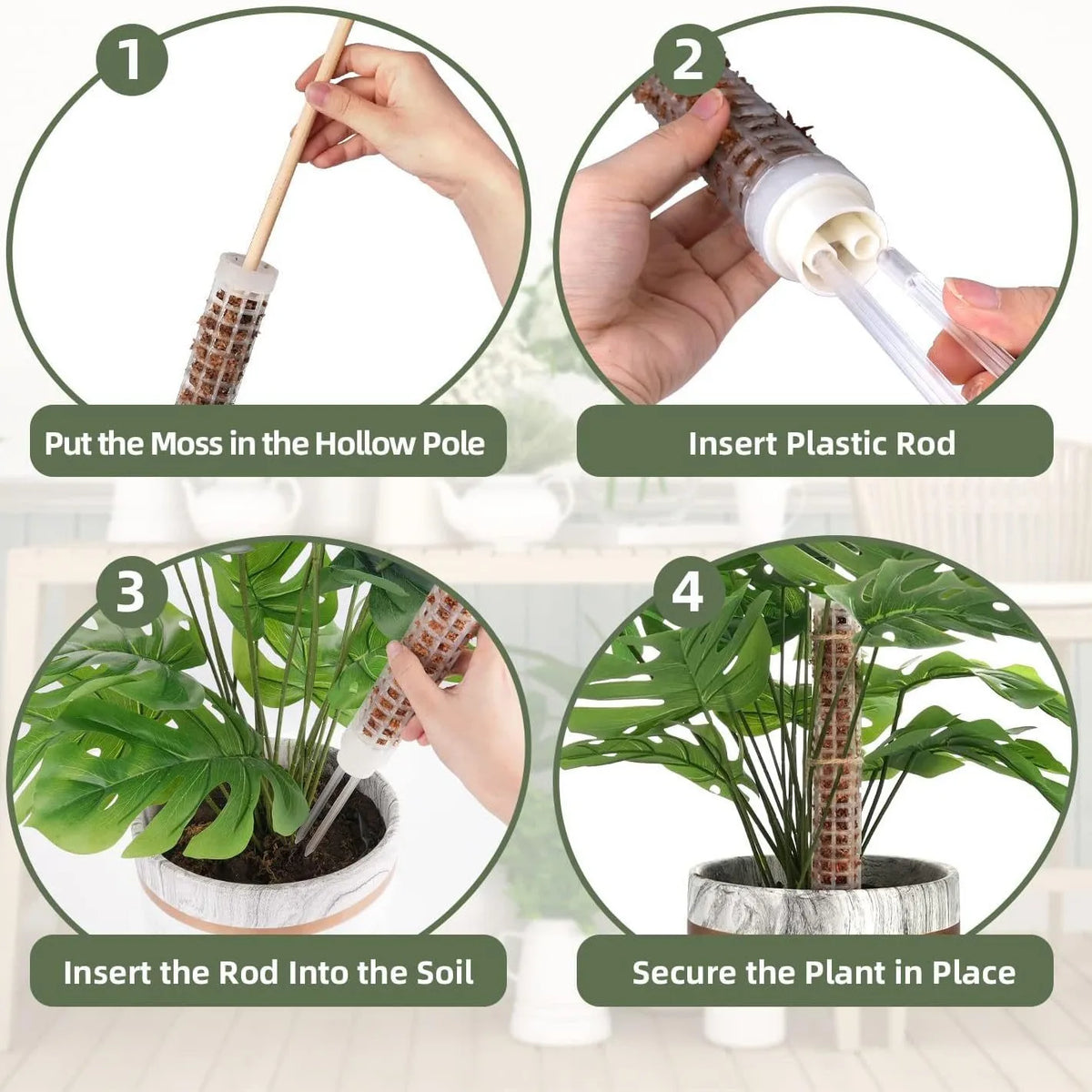 supports plantes pliants adhésifs cordelettes piquets blancs verts modernes intérieur