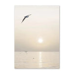 affiches art minimaliste paysages marins plumes feuilles beige blanc gris bleu clair toile opaques