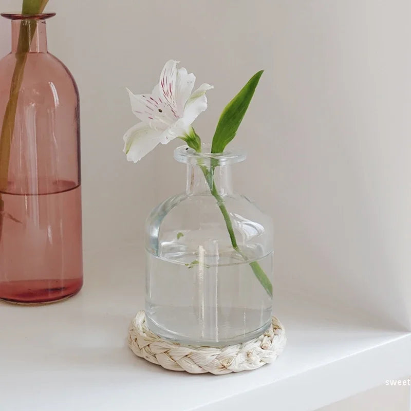 vase verre transparent moderne rose décoration intérieur hydroponique fleuri table studio