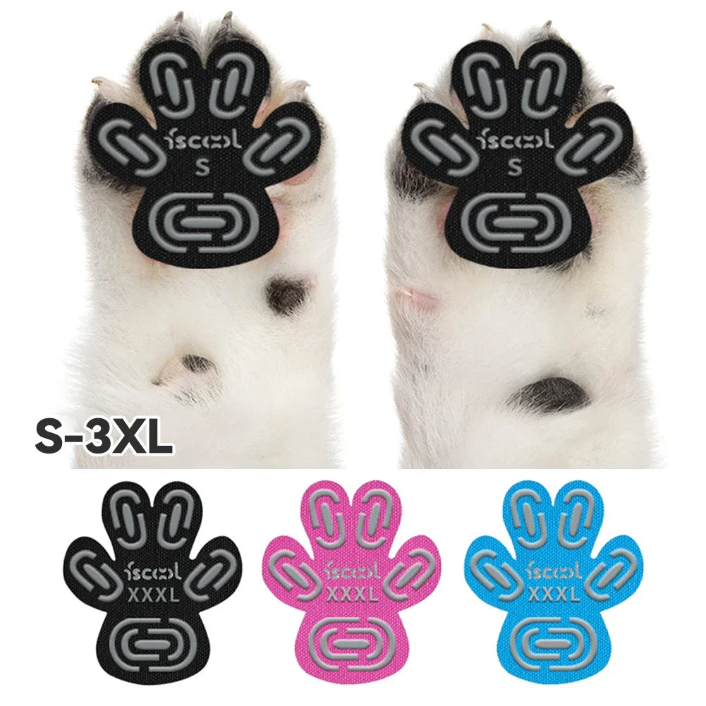protège pattes chiens adhésifs noirs motifs modernes taille xl 2xl