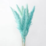 plumes pampas séchées blanches décorations fleurs naturelles rustiques mariage maison intérieur bouquet