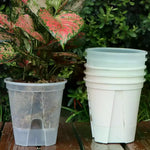 pots plantes transparents blancs modernes minimalistes grille drainage différents disponibles