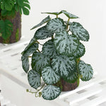 plantes artificielles feuilles vertes rouges noires modernes décoration extérieure mariage centro commercial exposées