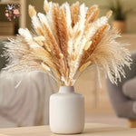 bouquet pampas séchés naturels beige marron blanc décoration boho intérieur événements festifs