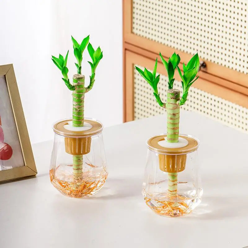 pots transparents plantes artificielles feuilles vertes moderne minimalisteintérieur adhésif base bois visibleDecorationFenetre