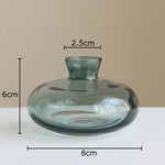 vases hydroponiques modernes transparents marron lisses décoration table plantes fleurs artificielles minimalistes