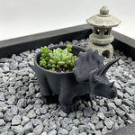 cache pot forme dinosaure gris sculpté relief créatif plante opacité décoration multifonctionnelle