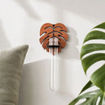 vase mural transparent feuille monstera nuage bois moderne minimaliste