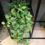 décoration murale plante artificielle vigne verte moderne feuilles tiges extérieur accrochée naturelle festive exposition