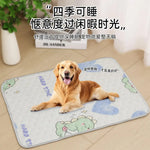 tapis animaux compagnie moderne dessins animés ours nuages beige gris bleu