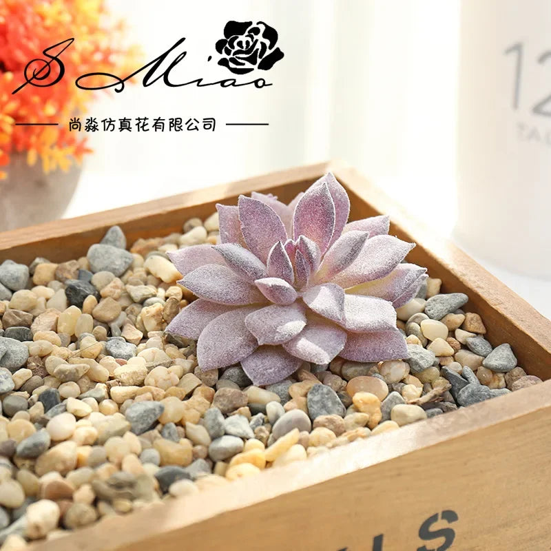 plantes succulentes artificielles vert feuilles pointues réaliste gravier boîte bois extérieur anniversaire exposantDecoration