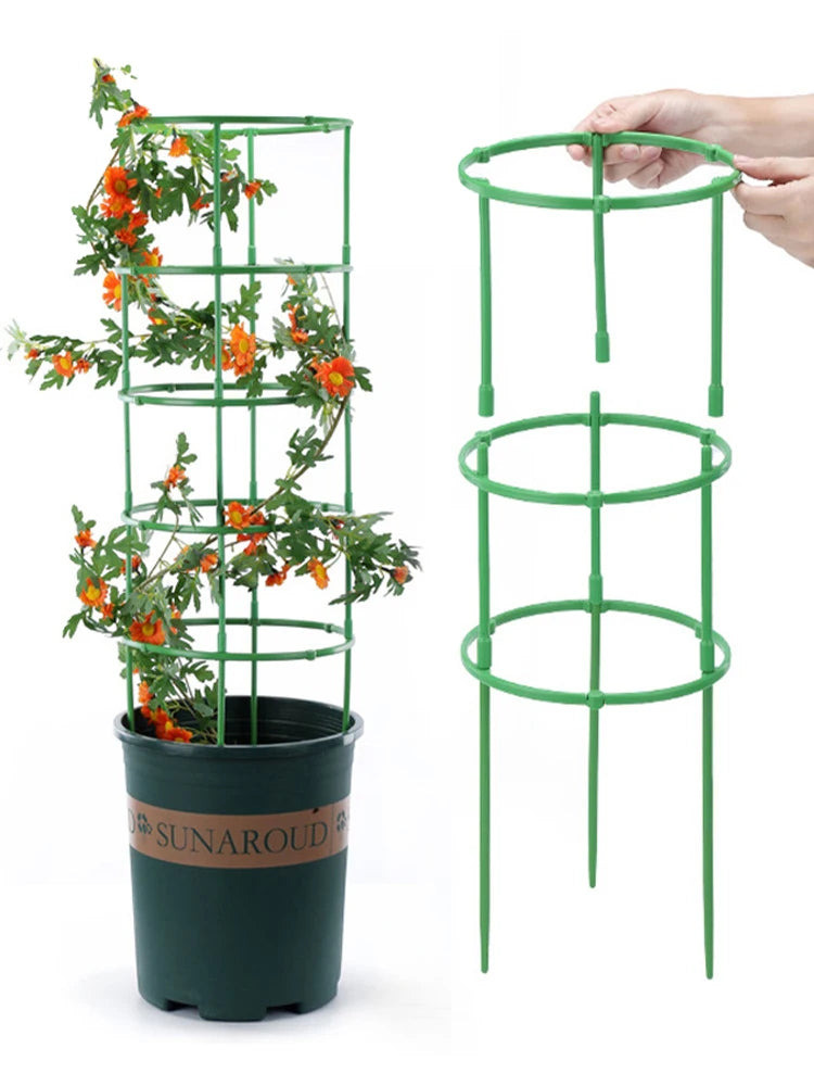 supports plante plastique vert moderne clips orchidées roses 12 sets 18 sets 24 sets
