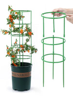 supports plante plastique vert moderne clips orchidées roses 12 sets 18 sets 24 sets