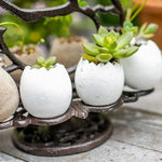 porte œufs poule 12 œufs vintage noir rangement cuisine présentoir réutilisable