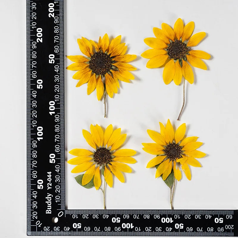 boucles d'oreilles fleurs tournesol jaune vif naturel délicat intérieur artisanat décoration maison eyelets bricolage