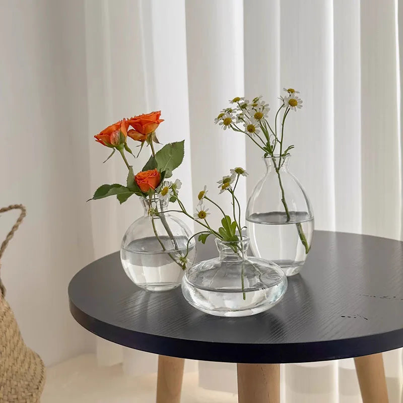 vases transparent modernes verre simple minimalistes bleu vert fleurs plantes