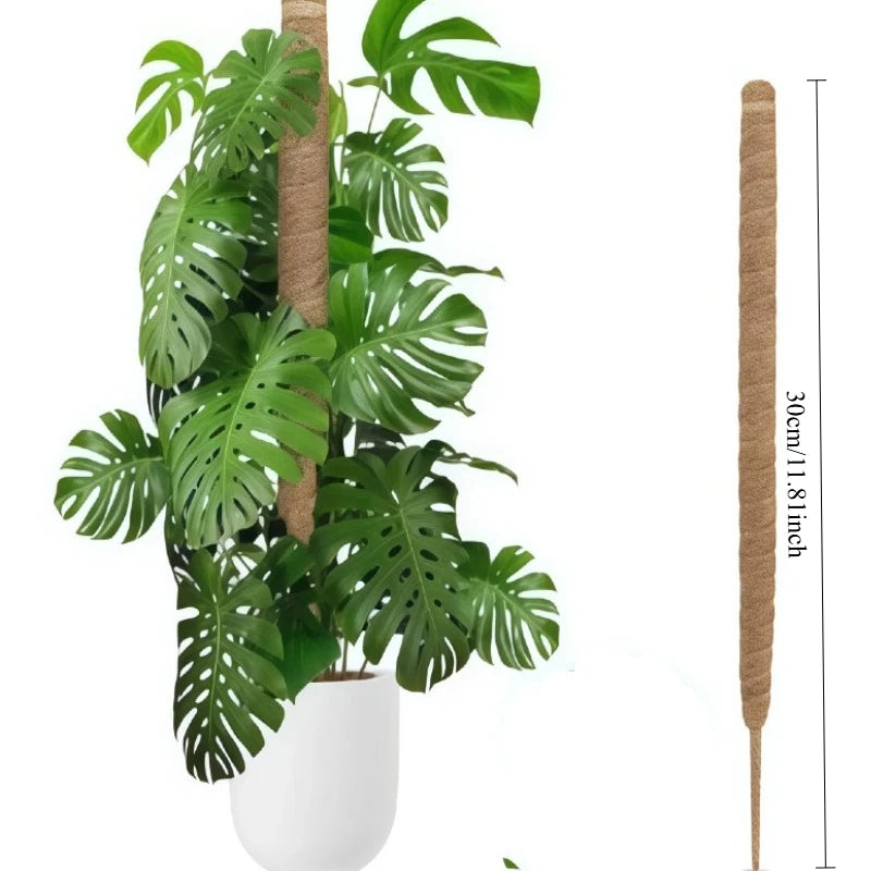 support plante grimpante fibre végétale marron clair naturelle rustique facile utiliser adhésif twine velcrointérieurextérieurbalconjardin