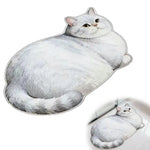 tapis bain chat peluche gris orange mignon rapide séchage antidérapant polyester PVC