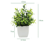décoration intérieure plante artificielle eucalyptus bonsaï vert feuilles fines moderne sans entretien pot blanc