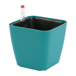 pots plante auto arrosage hydroponique blanc violet noir gris moderne