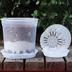 Pots semis transparents drainage plantes fleurs jardin pratique large