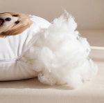 coussin personnalisable chien mignon blanc doux pelucheux animé zip amovible lavable moderne
