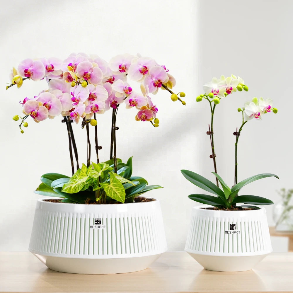 pots orchidées blancs moderne ventilation aération plateaux intérieurs extérieurs