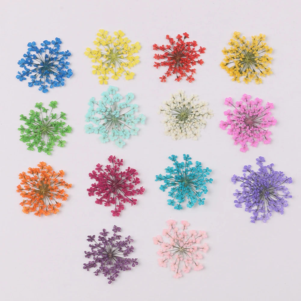 fleurs séchées pressées coque téléphone transparente arbre fleurs roses naturel artisanat bijoux 100 pièces
