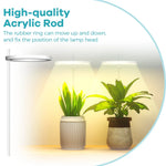 lampe led croissance plante réglable minuterie auto arrêt fleurs cactus moderne transparent feuilles vertes
