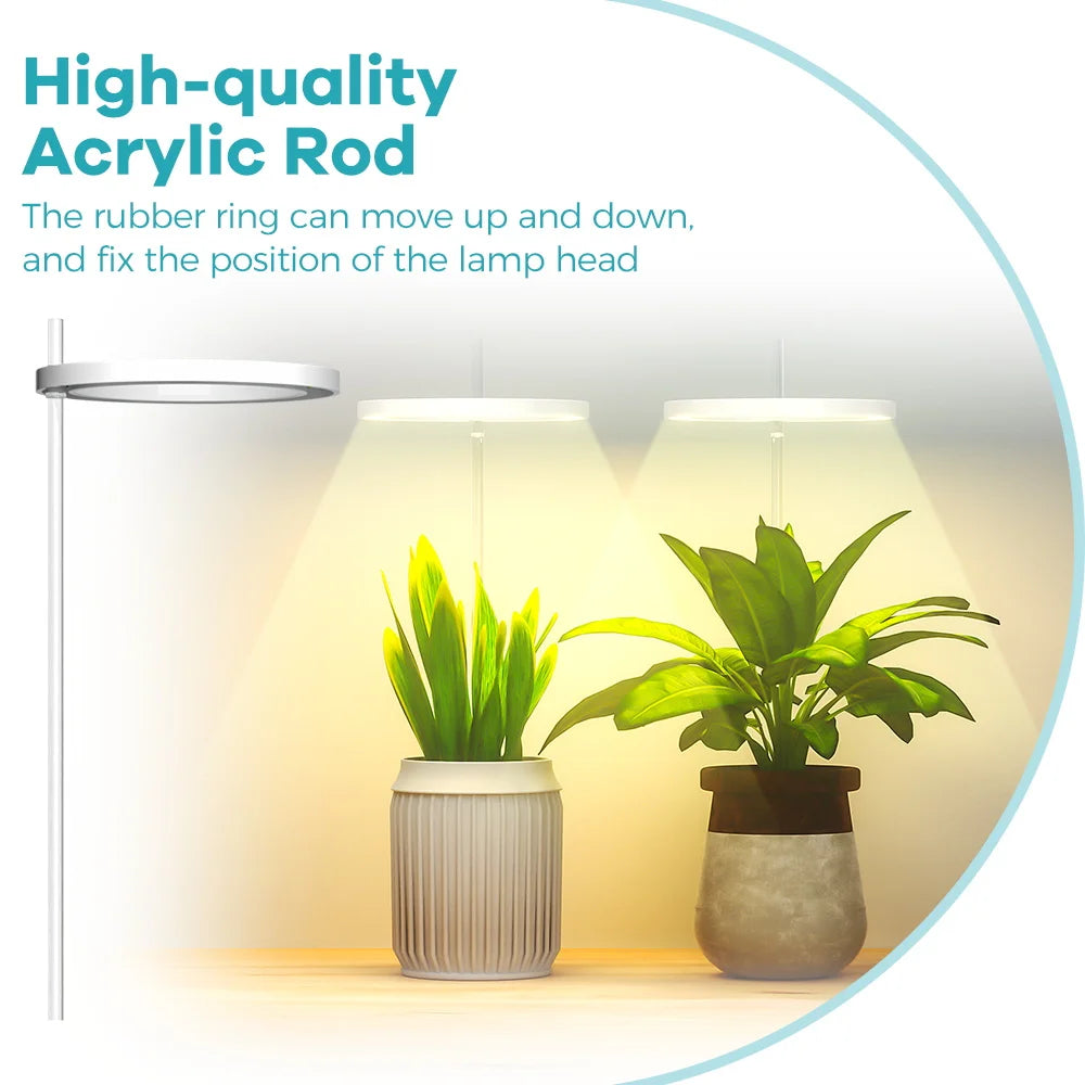 lampe led croissance plante réglable minuterie auto arrêt fleurs cactus moderne transparent feuilles vertes