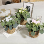 plantes artificielles vertes pot tressé feuilles texturées décoration intérieure rustique blanc marron chambre