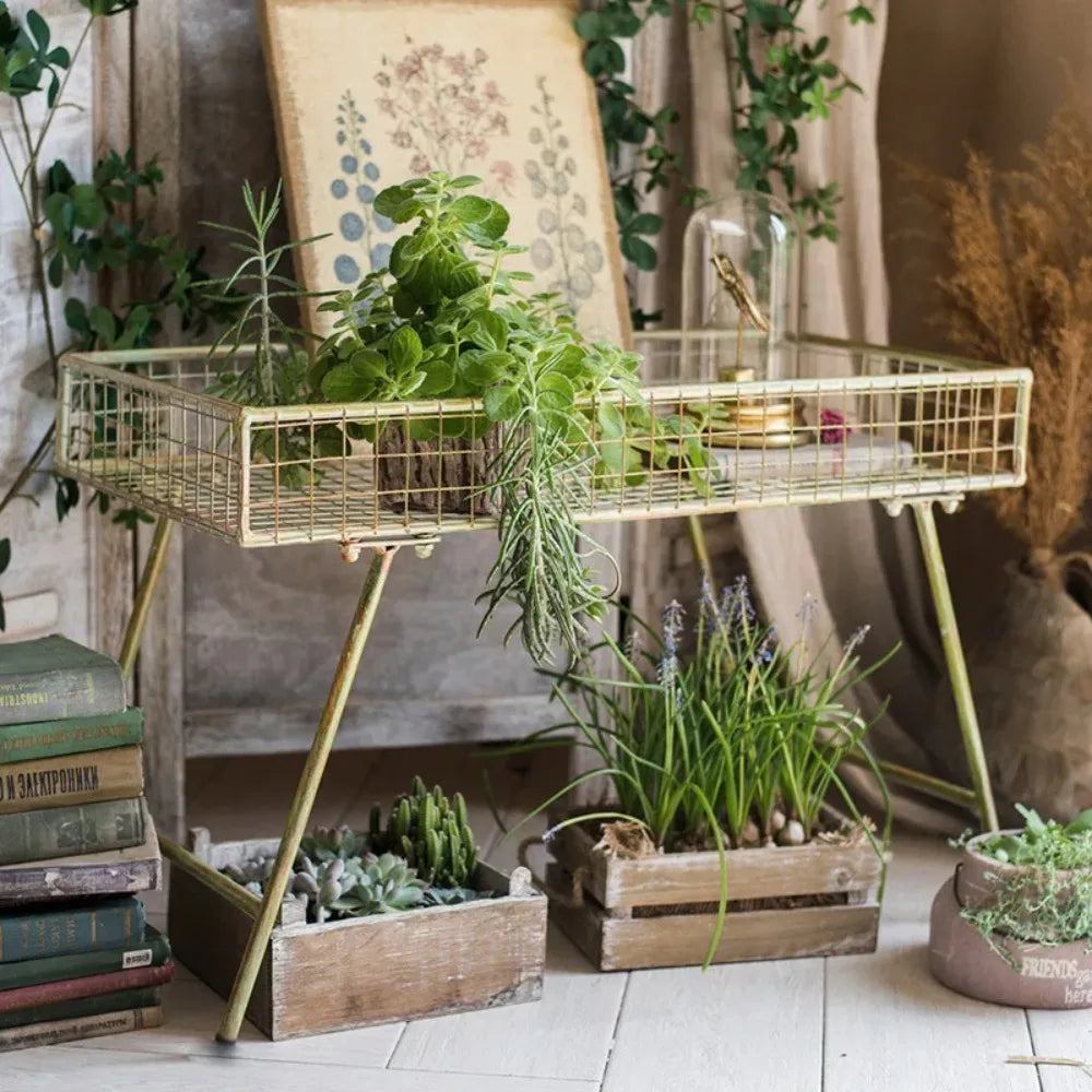 support plantes métal vintage étagère rectangulaire grille bohème rustique intérieur extérieur présentation fleurs herbes