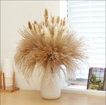 bouquet pampas séchés naturels beige marron blanc décoration boho intérieur événements festifs